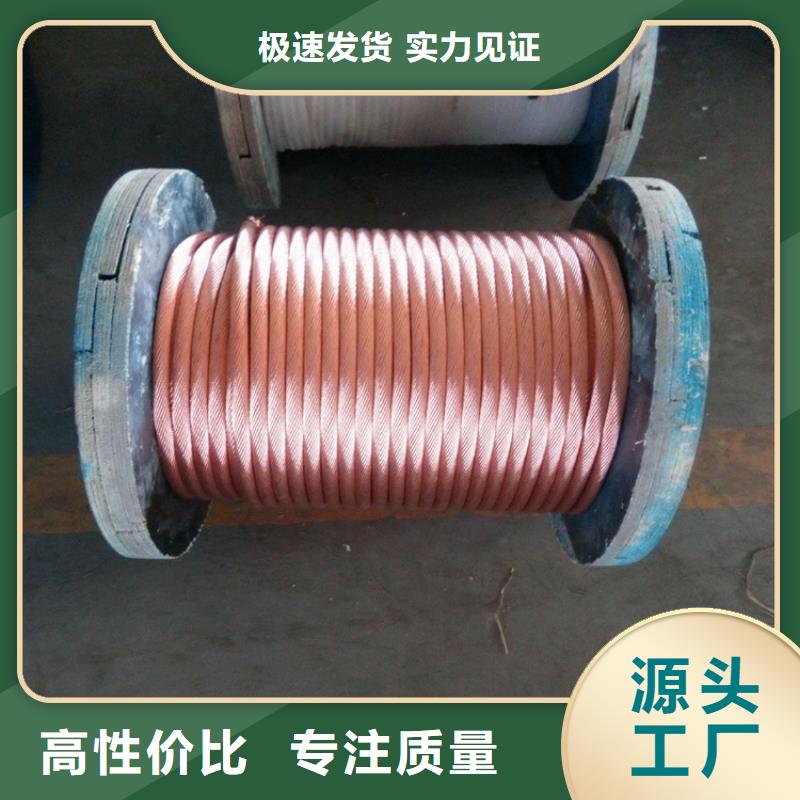 铜绞线紫铜带来图定制产地货源