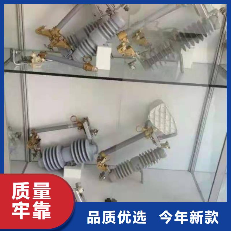 【跌落式熔断器XRNP-10KV高压限流熔断器现货】真正让利给买家