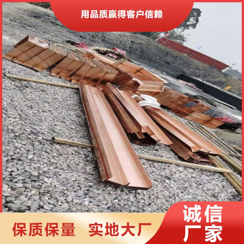 铜排铜片单向塑料土工格栅按需定制真材实料市场报价
