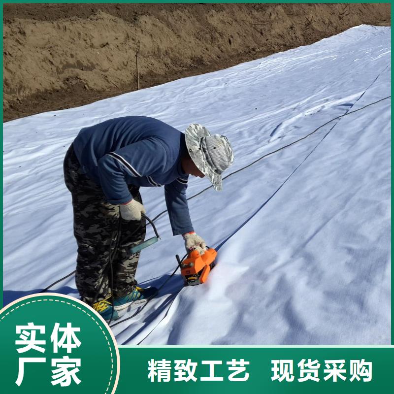 复合土工膜双向塑料土工格栅快速发货随到随提