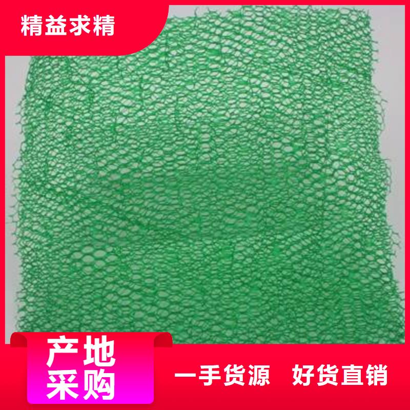 三维植被网【塑料盲沟】专业厂家实地大厂