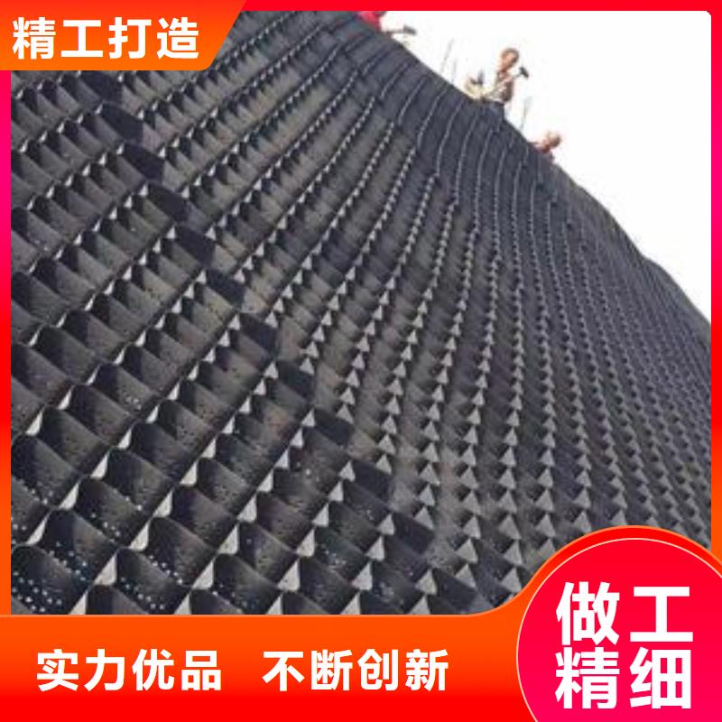 土工格室【三维土工网垫】优选厂商现货直发