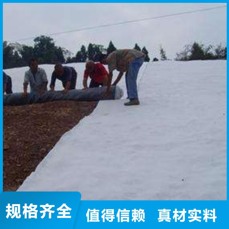 膨润土防水毯软式透水管质量优选本地服务商