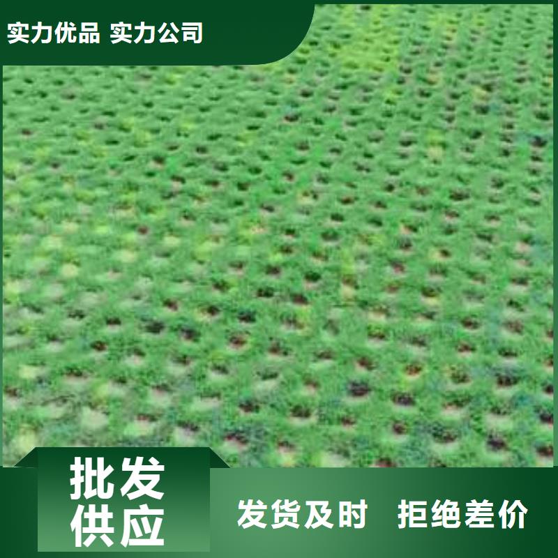 植草格_土工格室本地配送当地公司