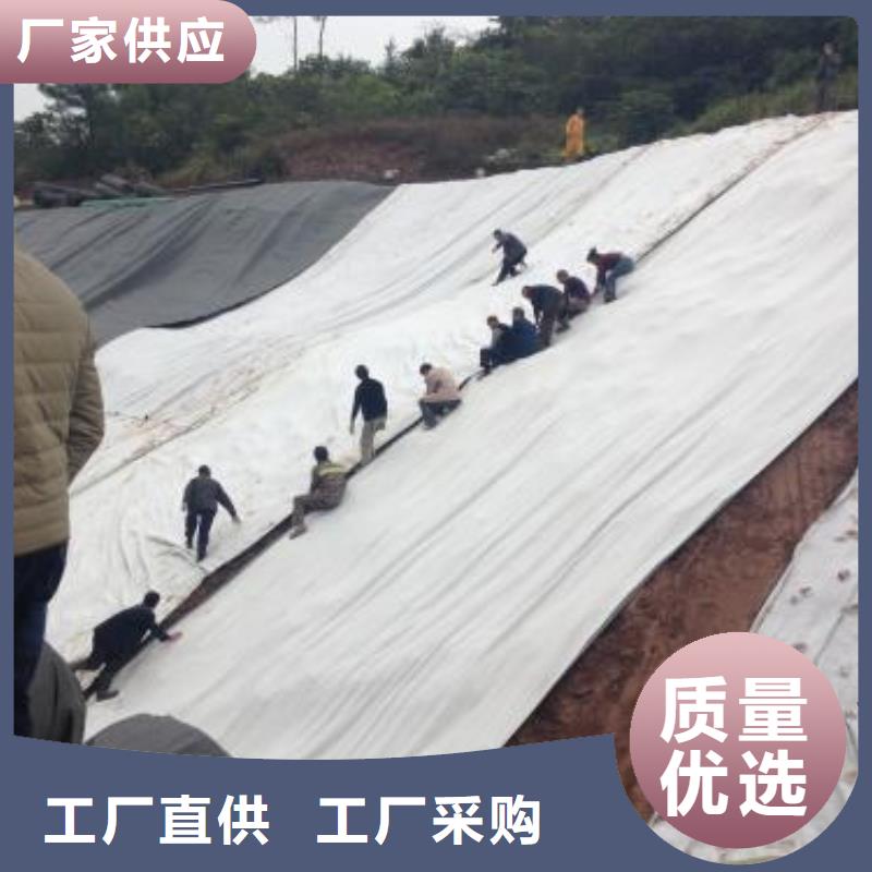 【膨润土防水毯三维土工网垫厂家批发价】产地采购