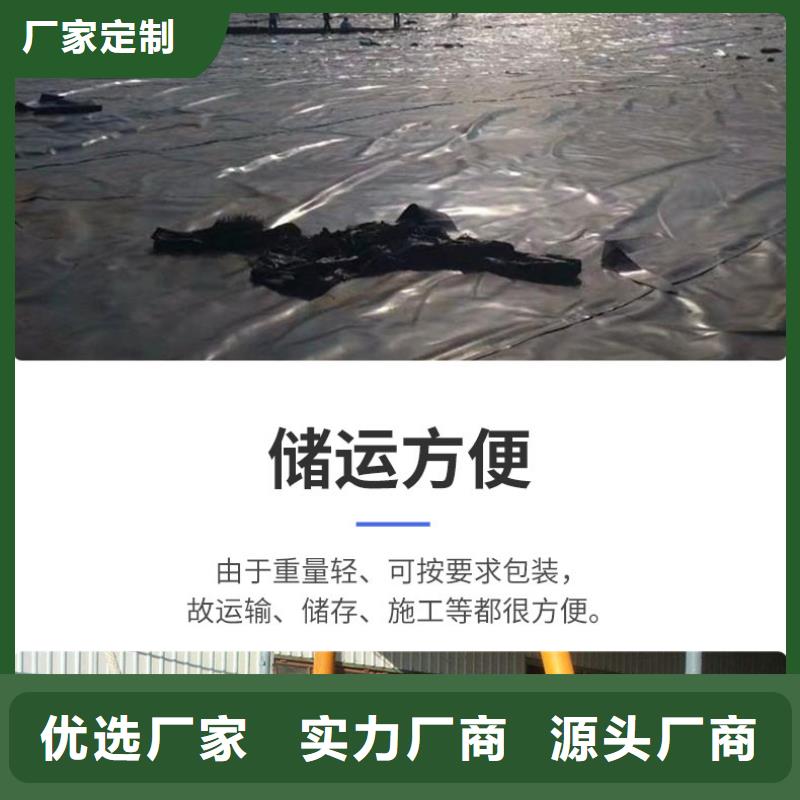 土工膜_养殖膜专业厂家本地厂家