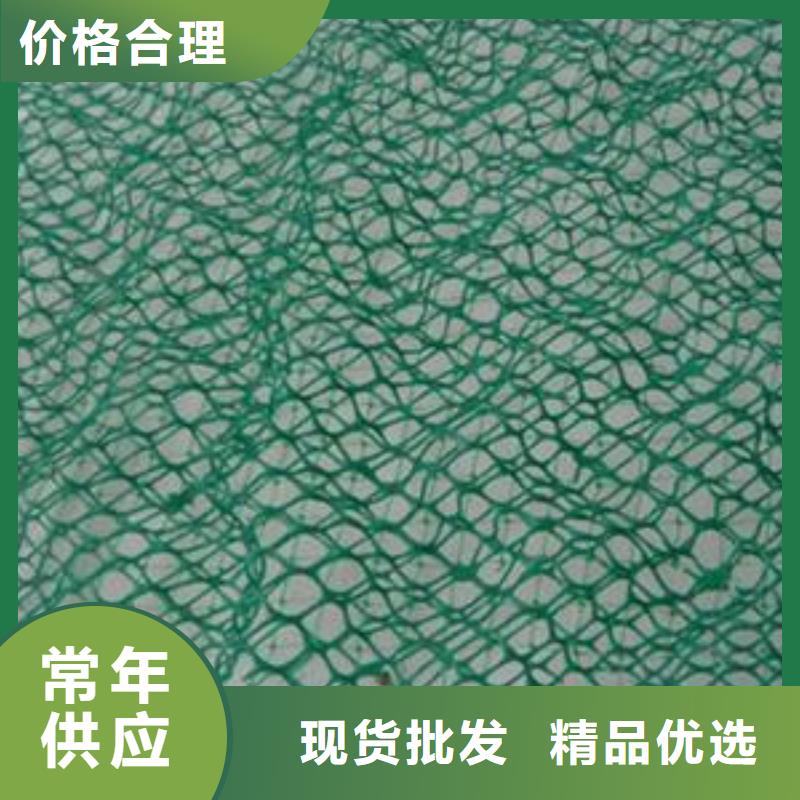 三维植被网涤纶格栅欢迎来电咨询同城公司