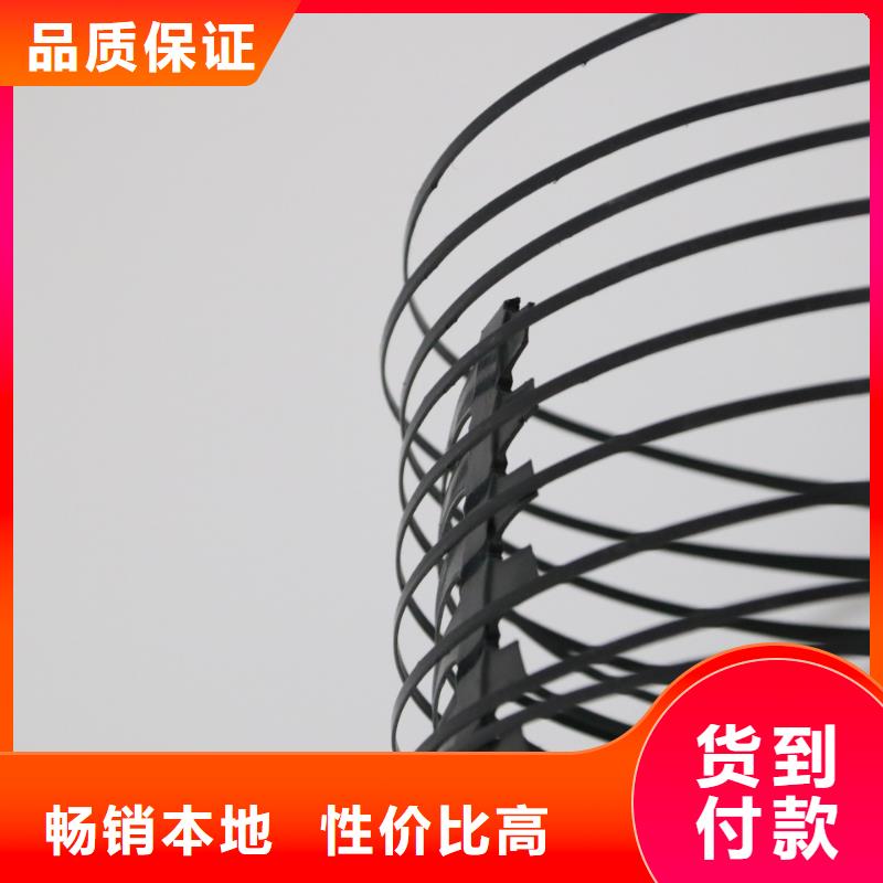 单向拉伸塑料格栅钢塑土工格栅好货有保障厂家直销规格多样