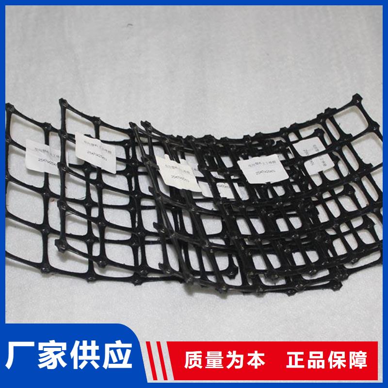 【双向塑料土工格栅】土工席垫采购同城公司
