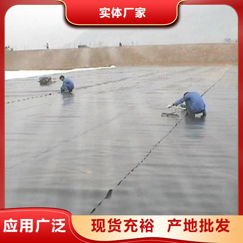 土工膜钢塑土工格栅可定制有保障工厂直供