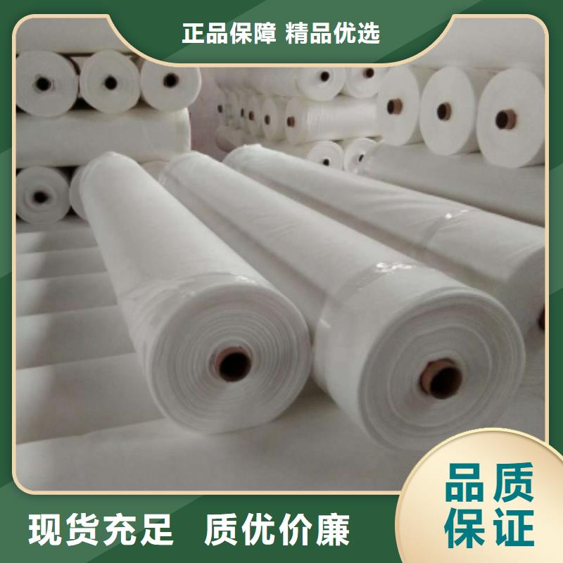 土工布-【双向塑料土工格栅】诚信经营厂家直销规格多样