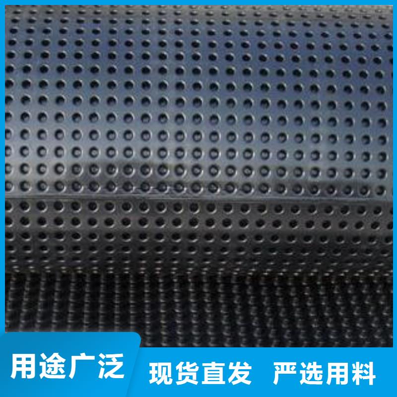 【蓄排水板土工格栅专业品质】厂家直销直供