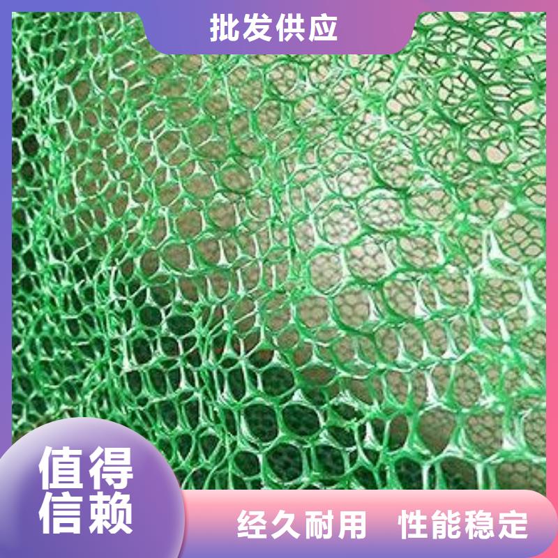 【三维植被网双向拉伸土工格栅严格把控每一处细节】产地工厂