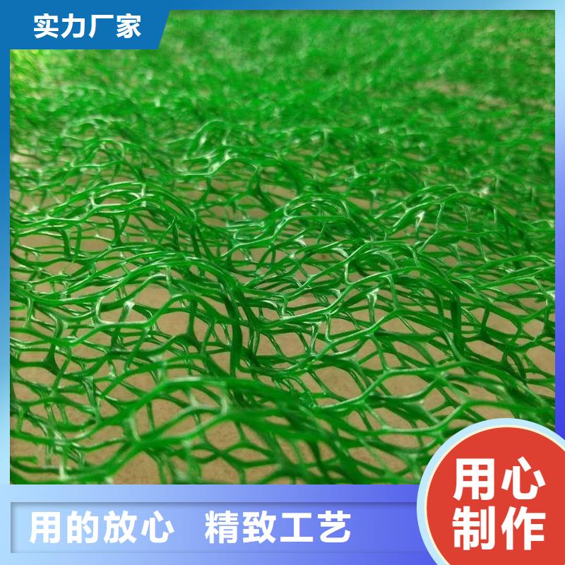 三维植被网塑料盲沟现货充足本地生产商