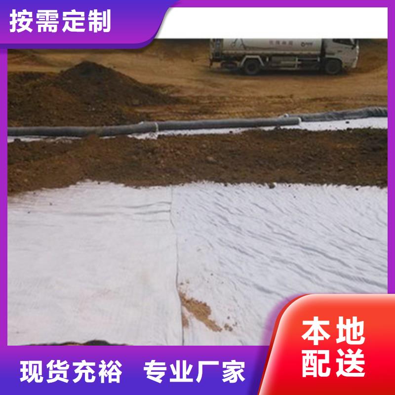 膨润土防水毯-钢塑土工格栅精心产地货源