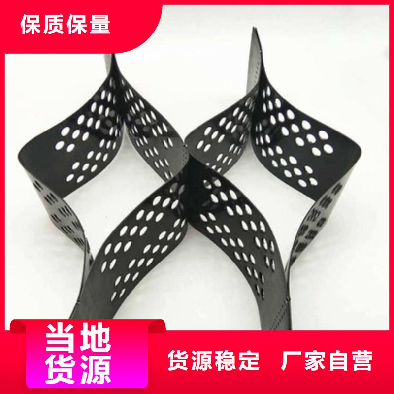 【土工格室】护坡土工网精挑细选好货放心得选择
