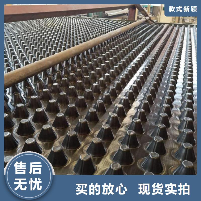 【塑料排水板】护坡土工网免费安装大量现货供应