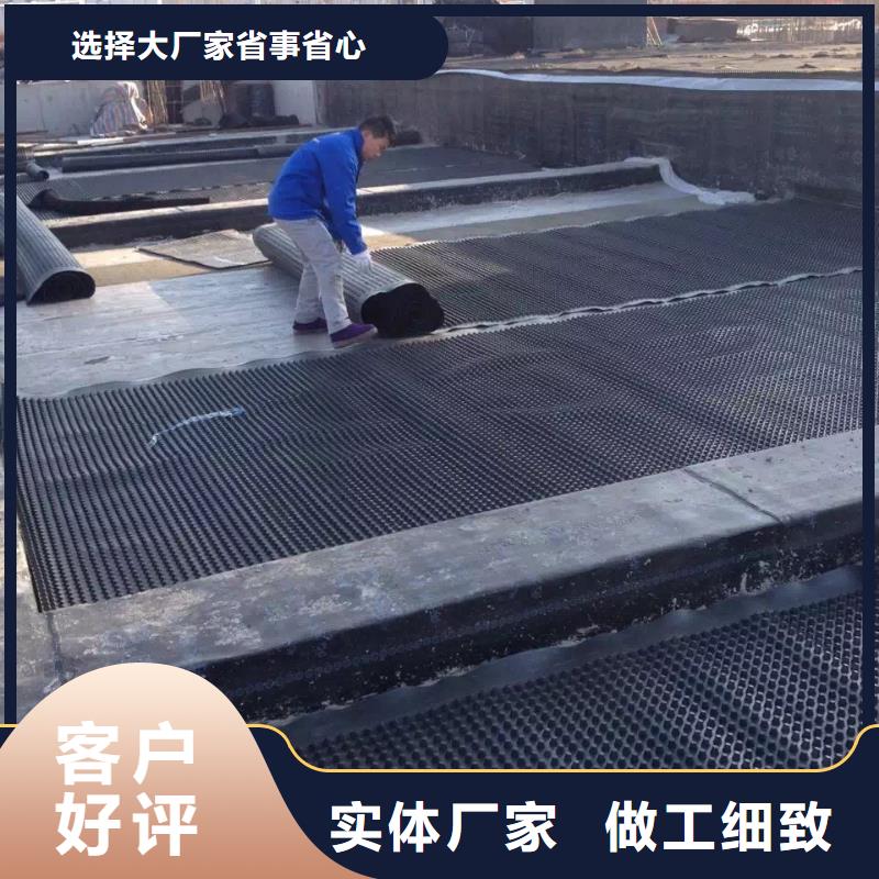 塑料排水板_【护坡土工网】实力厂商品牌企业