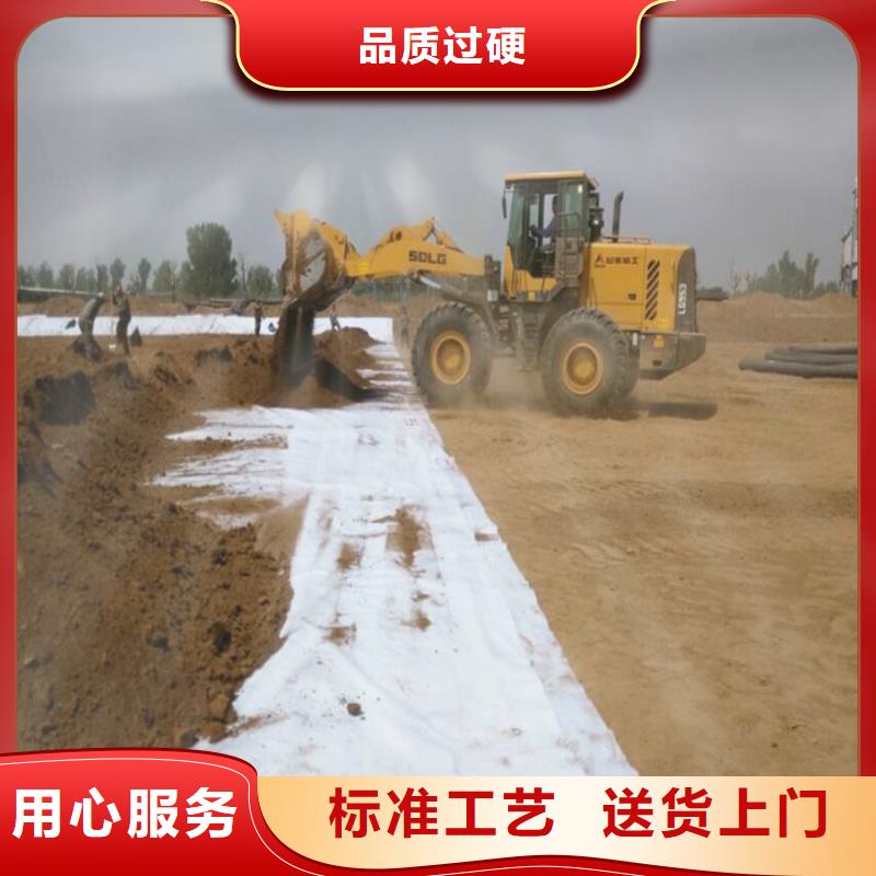 防水毯三维水土保护毯买的放心厂家技术完善