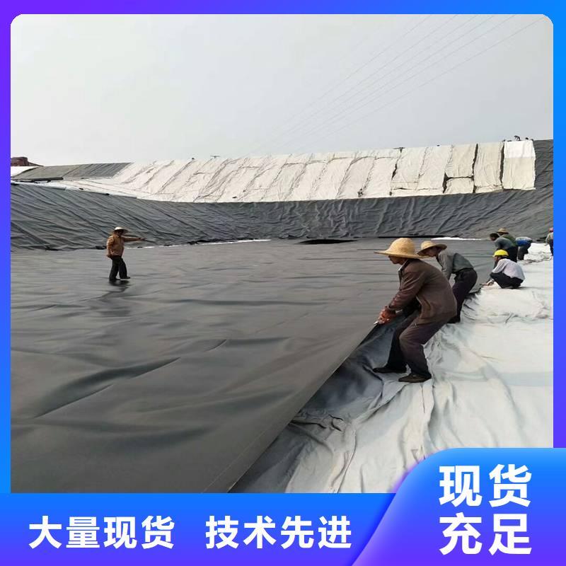 土工膜三维土工网垫按需定制本地制造商