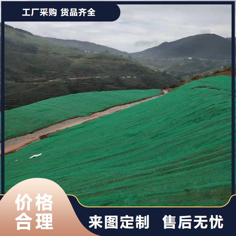 三维植被网-三维水土保护毯一站式厂家当地货源
