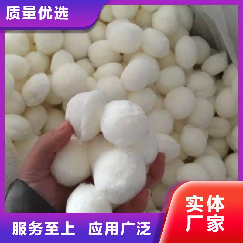 【纤维球】液面覆盖球好品质售后无忧当地服务商