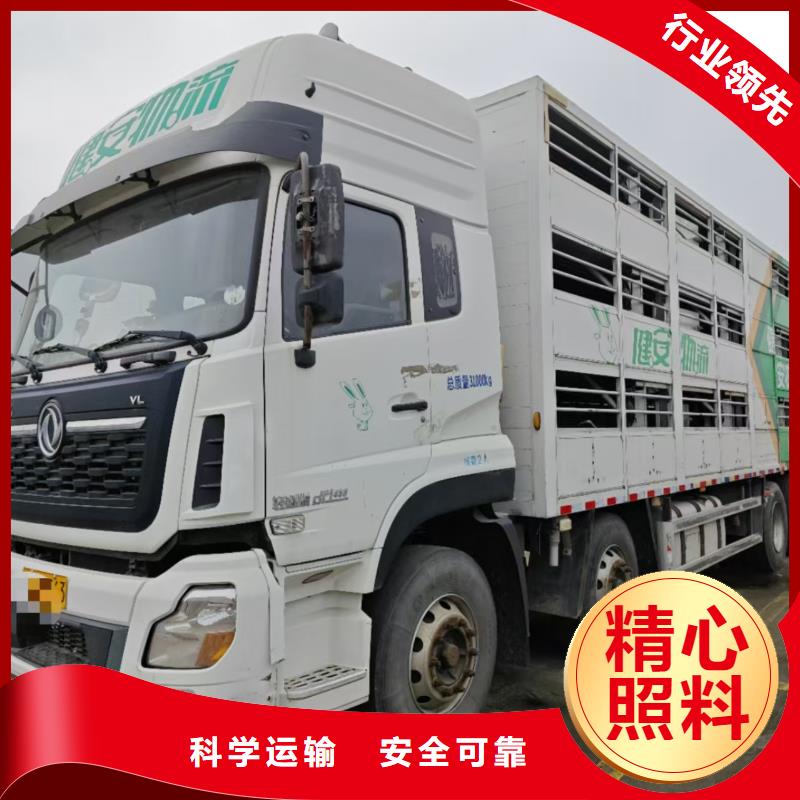 宿迁市沭阳到原料运输准时准点本地制造商