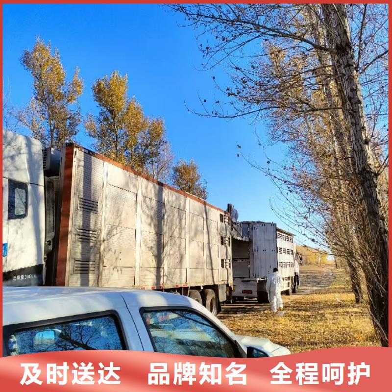 宿迁市泗阳到种猪恒温车运输特快专线多年厂家可靠