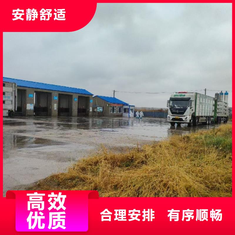 宿迁市泗阳到牲畜运输整车运输品牌企业