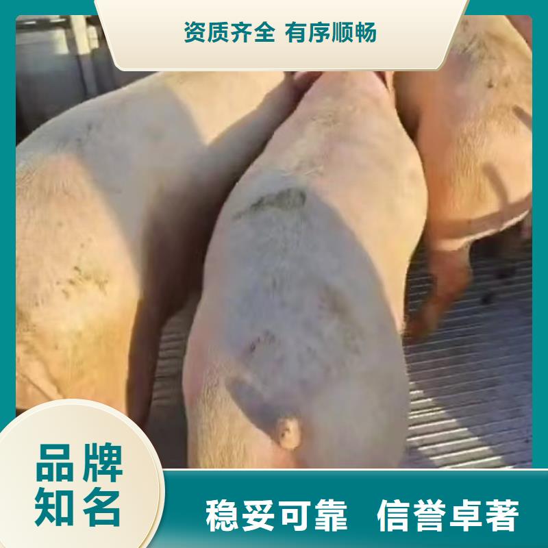金华到空调车运输调度精准同城厂家