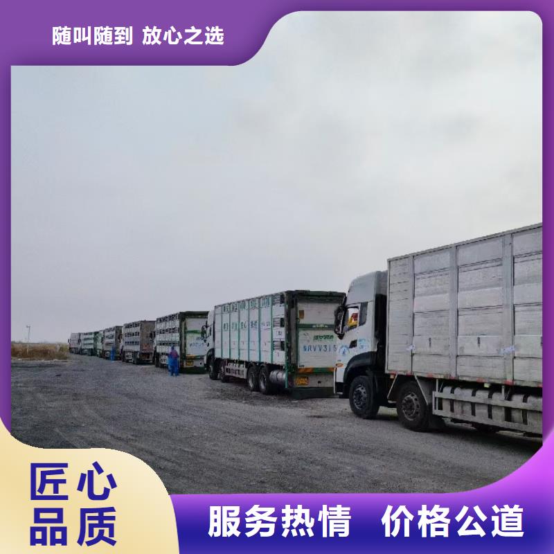 宿迁沭阳到羊运输可靠今日价格
