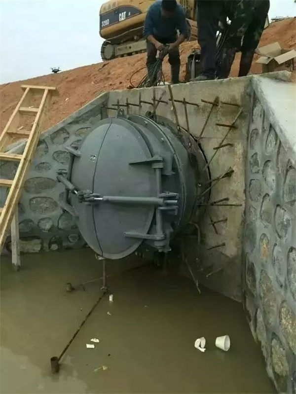 拍门铸铁拍门源头采购