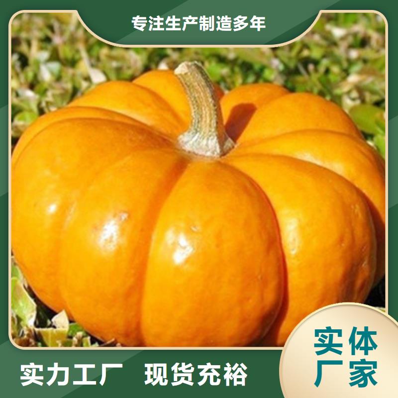 无皮南瓜粒同城服务商