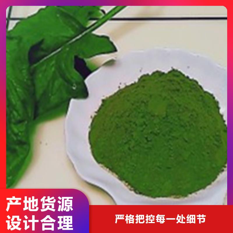 菠菜粉质量放心货源直销