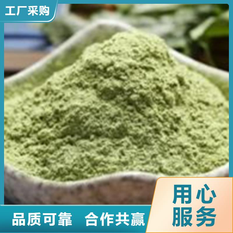 菠菜粉现货充足质量优选