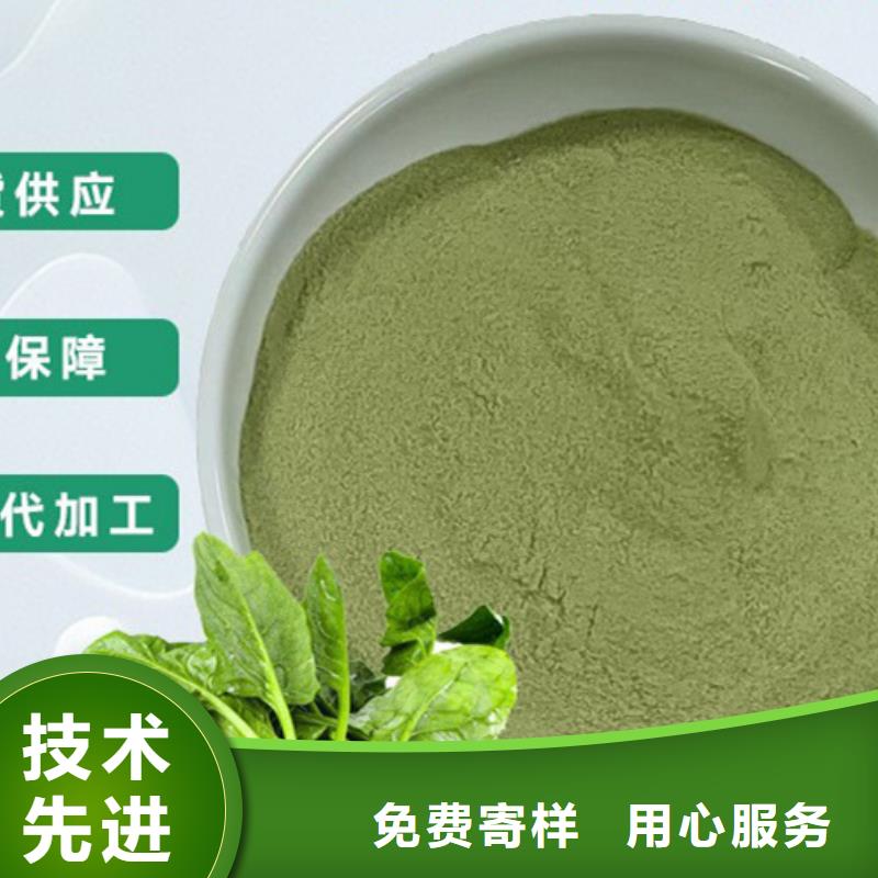 菠菜粉发货快海量货源