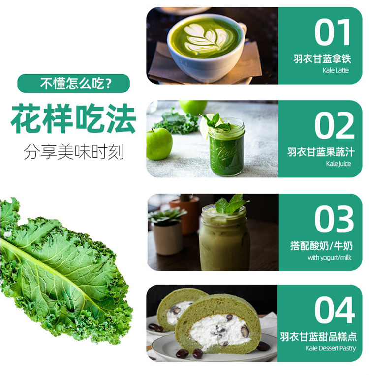 脱水蔬菜粉价格行情批发货源