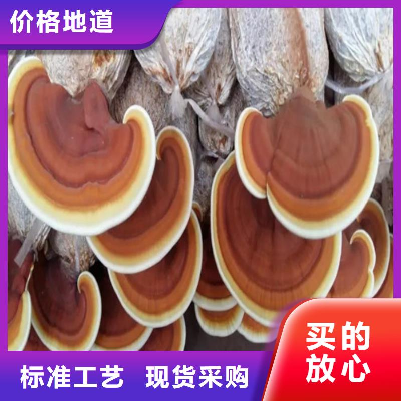 云海灵芝种植专业合作社
灵芝孢子粉价格低交货快满足您多种采购需求