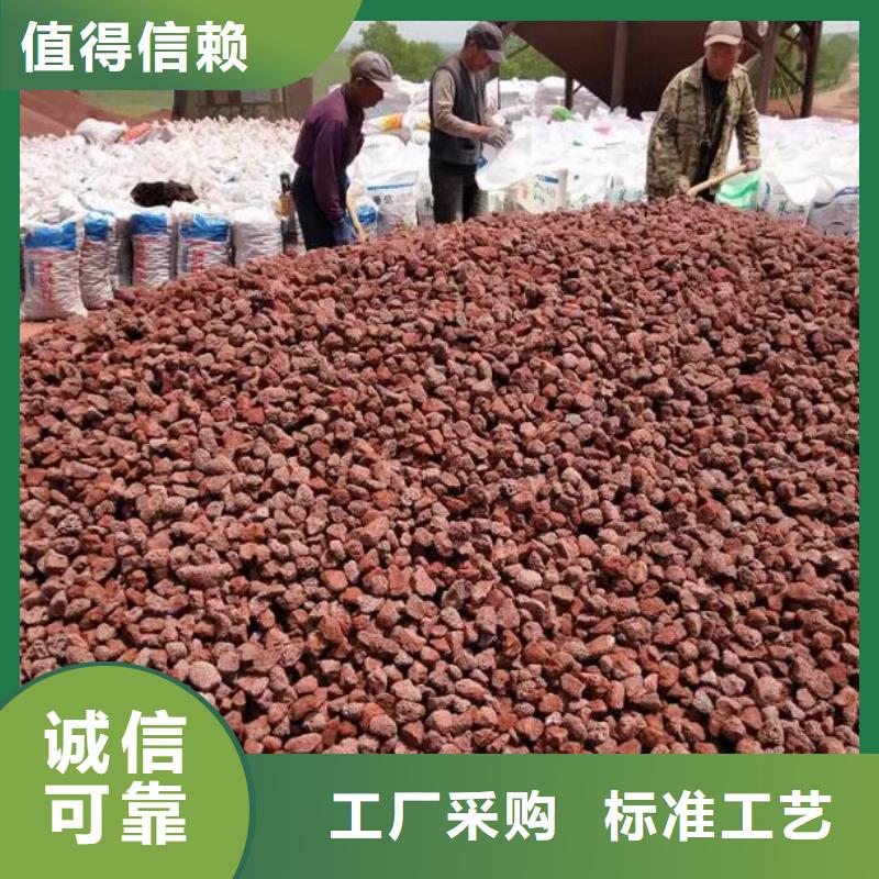 反硝化池用活山岩哪里有卖工厂直供