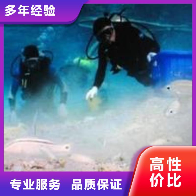 桥桩水下检测录像公司水下作业施工队【当地】货源