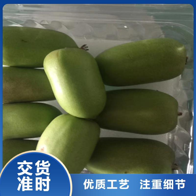 猕猴桃板栗苗用心制作同城服务商