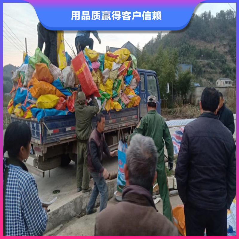 【碧根果_桃树苗工厂直销】产品性能
