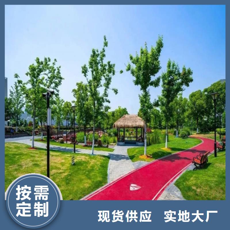 山东省潍城夜光路面择优