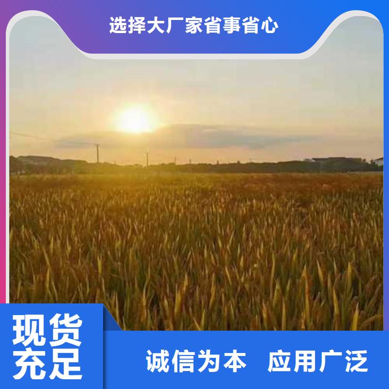 规格齐全的螃蟹厂家源头厂家量大价优