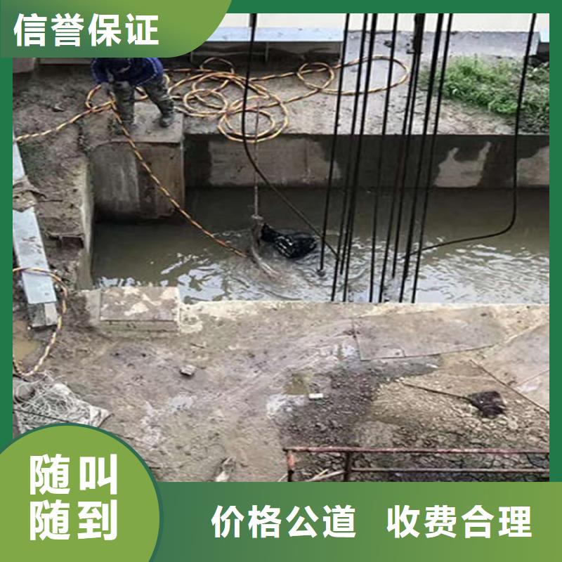 安陆闸门水下堵漏-潜水员施工队附近厂家