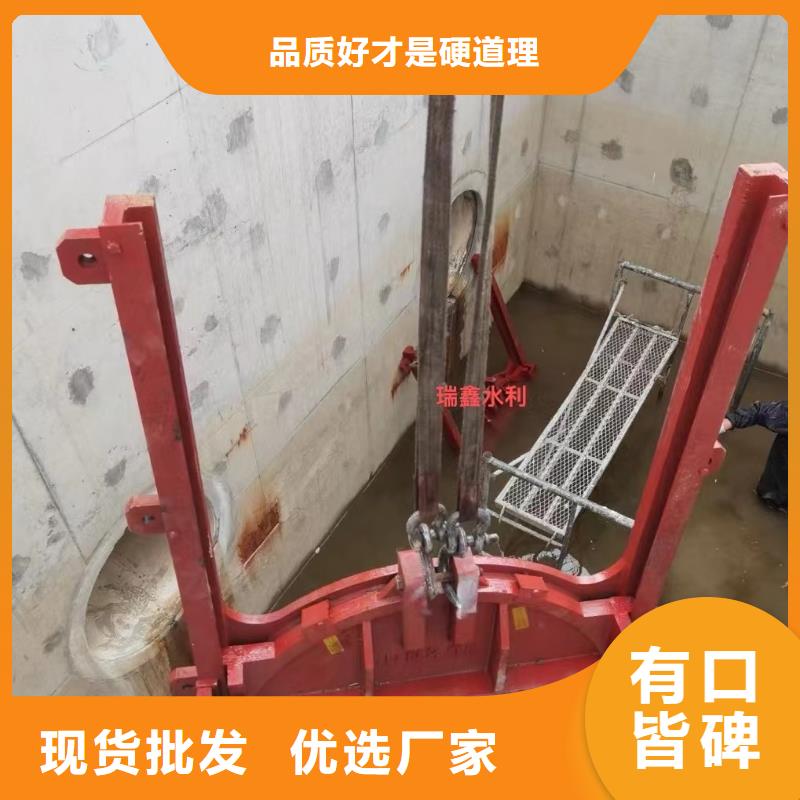 手电两用启闭机本地服务商