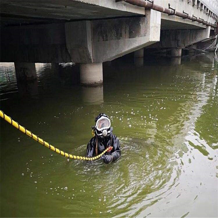 嘉兴市打捞队-潜水服务团队