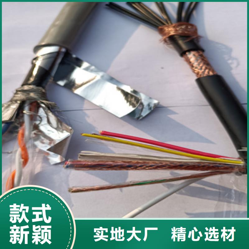 定制2X0.5通讯电缆结构技术_实力厂家精工制作