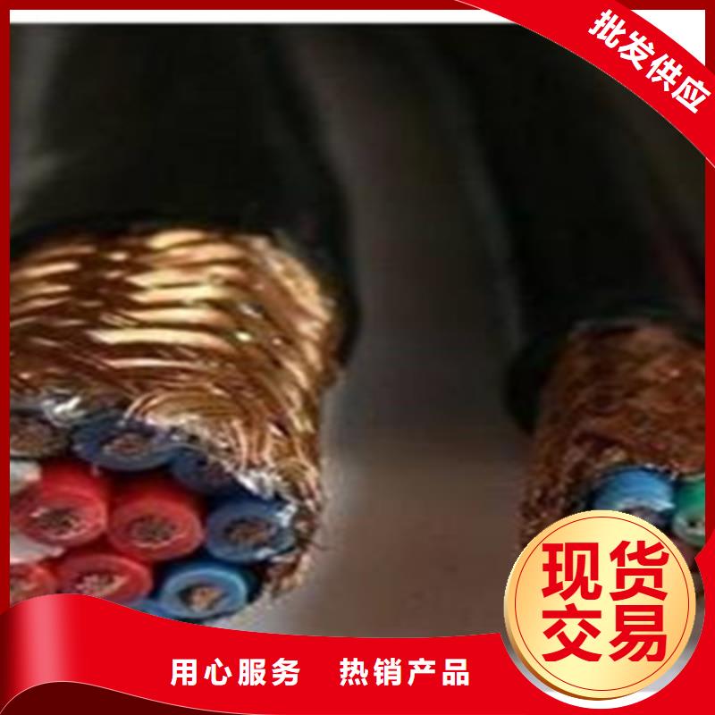 【耐高温电缆-屏蔽电缆省心又省钱】敢与同行比服务