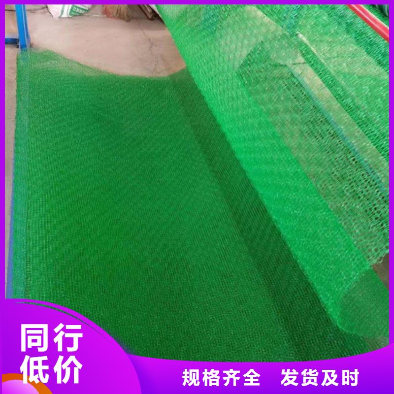 三维植被网膨润土防水毯购买的是放心自产自销